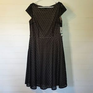 Black Label Evan Picone Black lace Dress